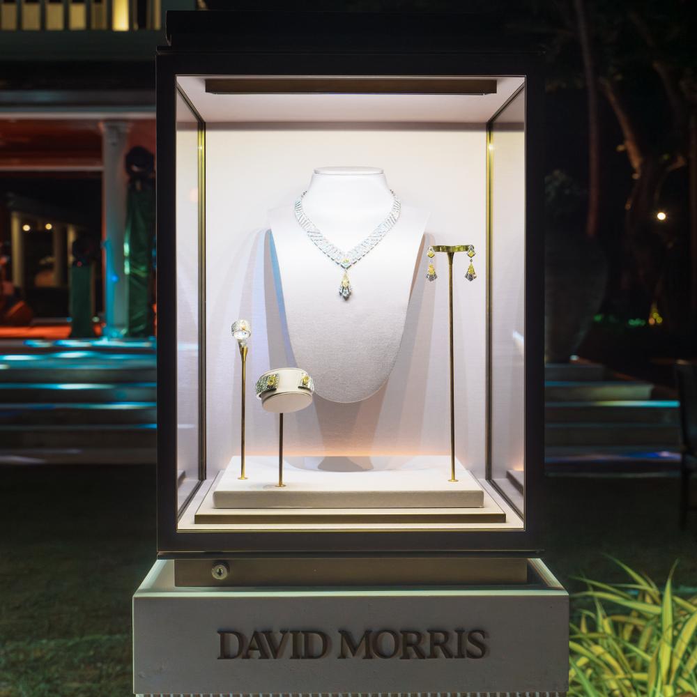 The world of David Morris event